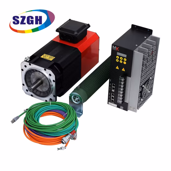 Servomotor 220 V 55 kW Integrierter Servospindelmotor
